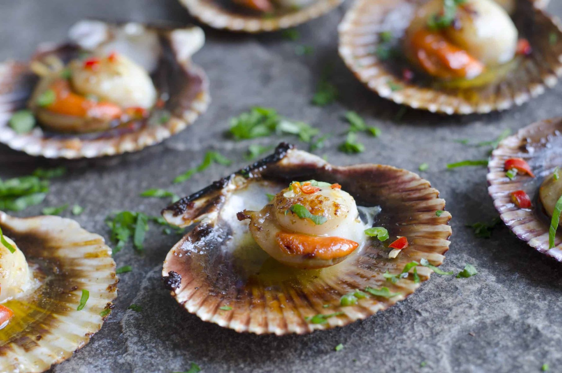 coquilles-saint-jacques-recipe
