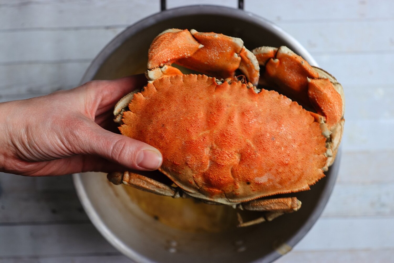 crab-boil-recipe